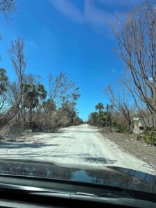 article image - UNRECOGNIZABLE PERIWINKLE WAY-FRI-SAT-KATHRYN RIGGIO